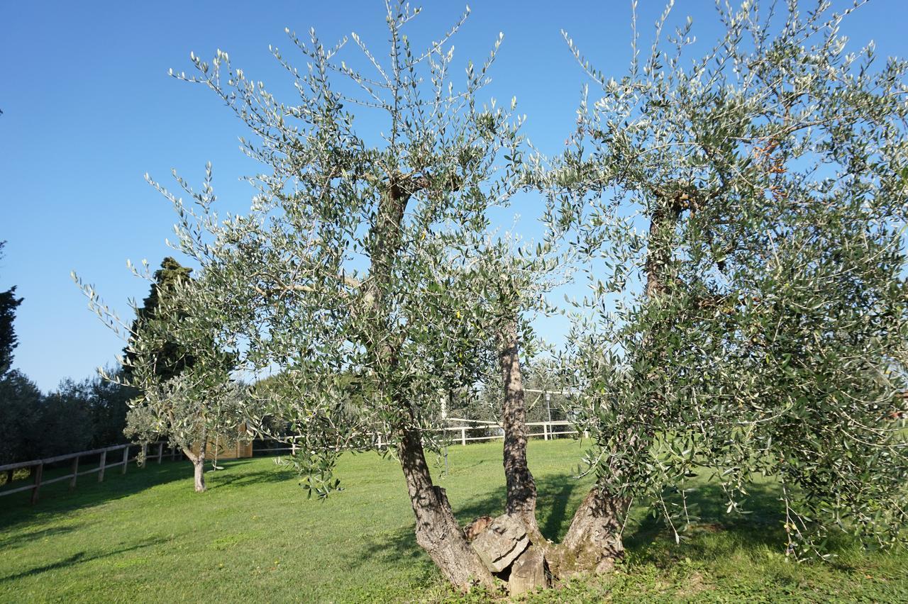 Willa Residenza Piandaccoli Lastra a Signa Zewnętrze zdjęcie